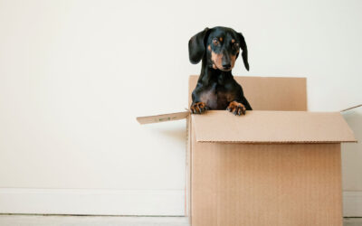 Big changes to the First Home Buyers 5% Deposit Scheme