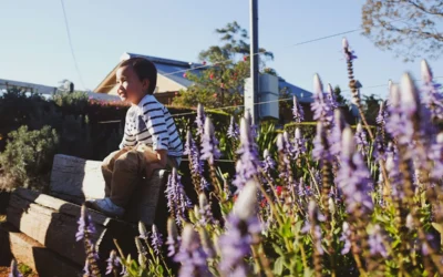 First home buyer decisions: Apartment or a house on land?